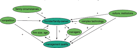 causal map